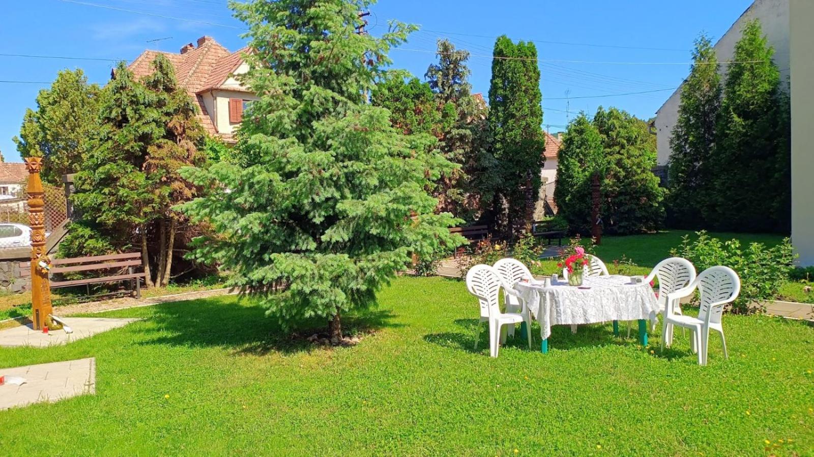 Auberge de jeunesse Centrul Gaudeamus à Sighişoara Extérieur photo